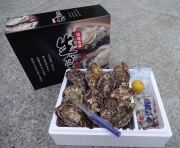 �ނ��g500���Ɗk�t10�Z�b�g