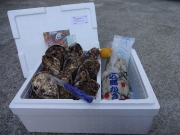 �ނ��g700���Ɗk�t15�Z�b�g