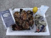 �ނ��g1�����ƃK���K���Z�b�g